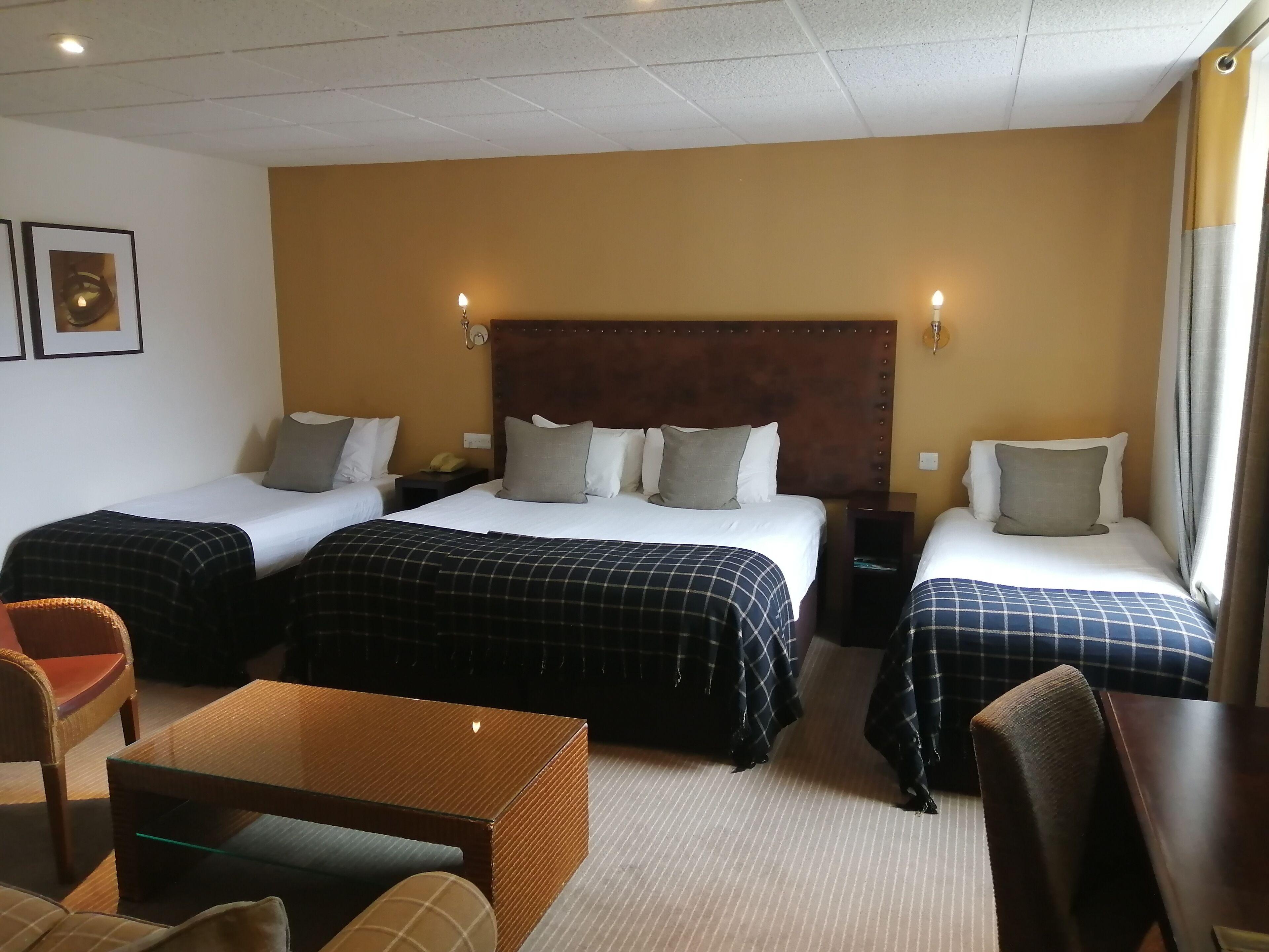 Family Room,977037904:JPEG